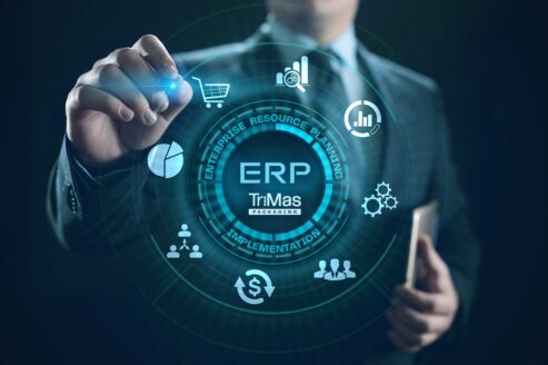 New erp system implementation